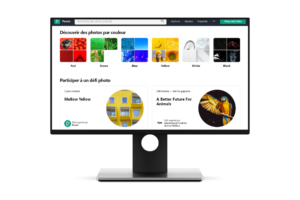 Pexels-meilleur-site-banque-d-image