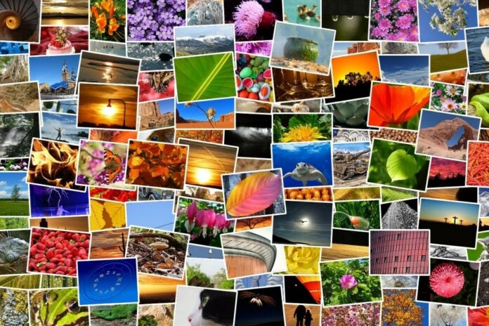 banques-d-images-gratuites-meilleur-site