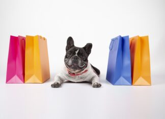 Croquetteland est-il le meilleur site d’animalerie en ligne ? Croquetteland est-il le meilleur site d’animalerie en ligne