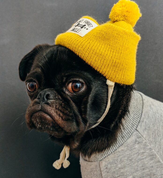 Animojo