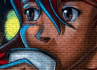 Top collector : Le numéro 100 de One Piece en France. numéro 100 de One Piece