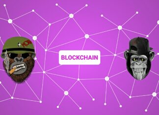 Opensea VS Rarible : quelle est la meilleure Market place pour démarrer dans les NFT Opensea VS Rarible quelle est la meilleure Market place pour démarrer dans les NFT