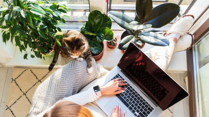 Les meilleurs sites pour travailler en freelance en 2024